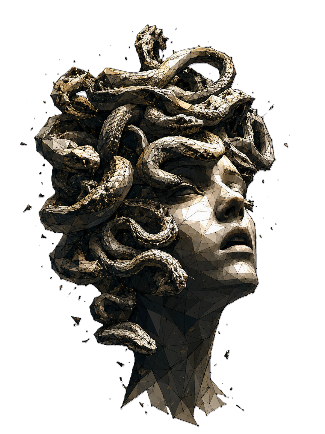 Illustrated Medusa portrait